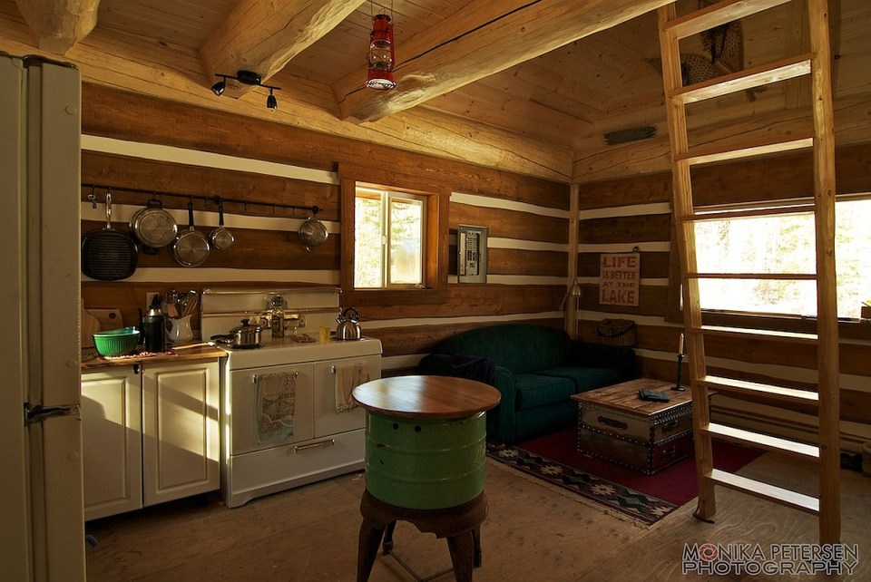 cabin-house 10