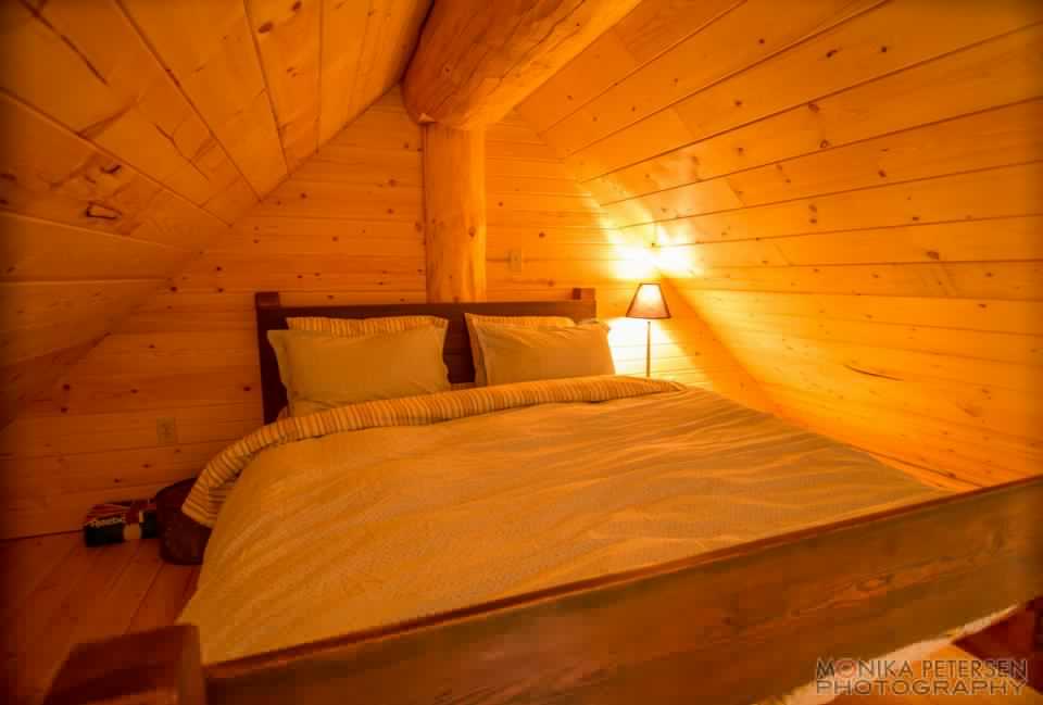 cabin-house 12