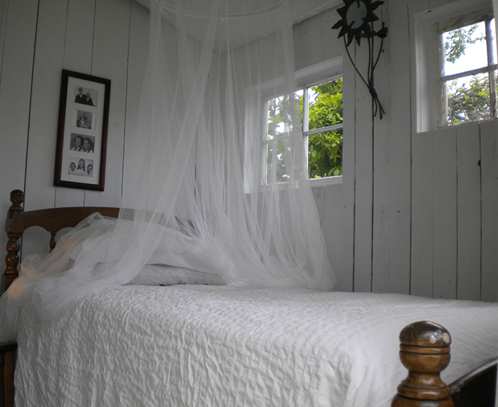 comtemporary-cottage-wooden-house-idea-3