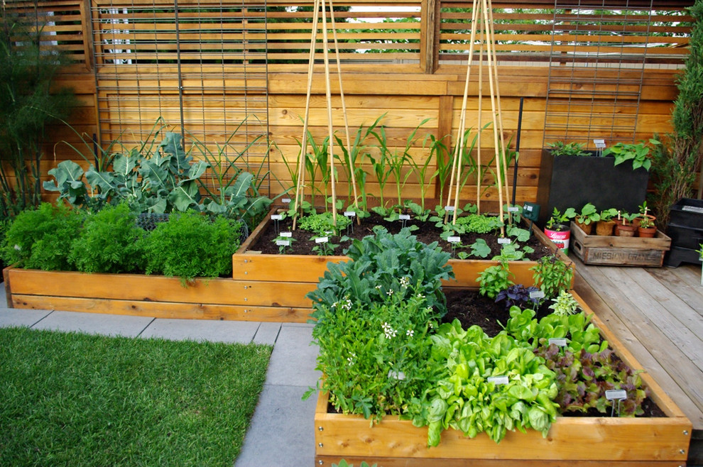 herb-garden