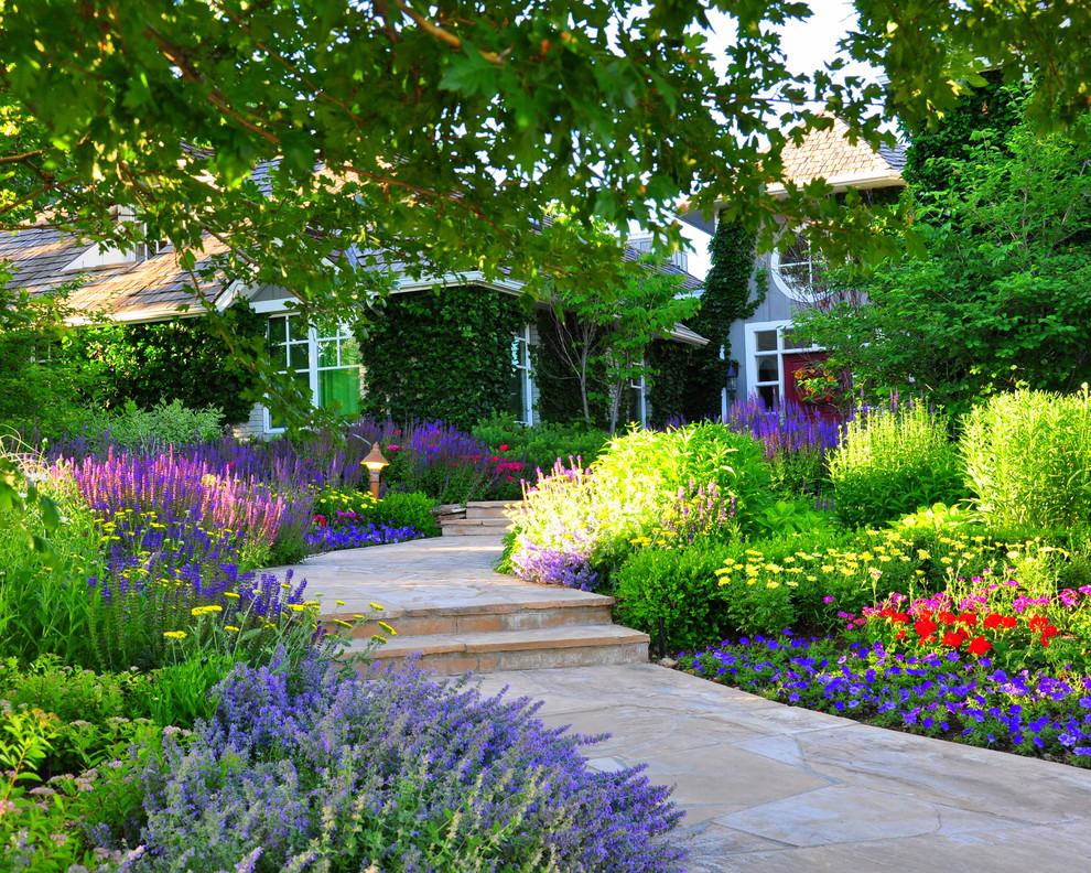 native-plants