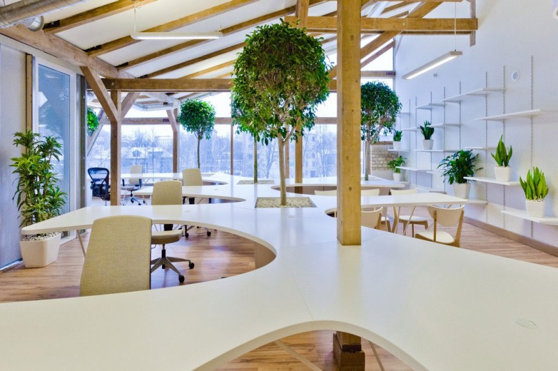 office-greenhouse-01-800x533