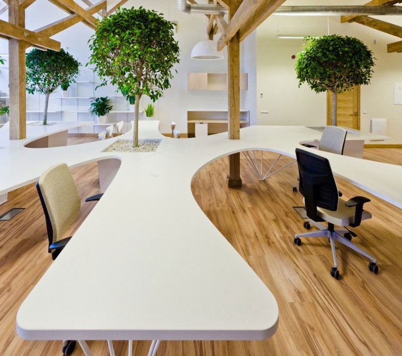 office-greenhouse-02-800x708