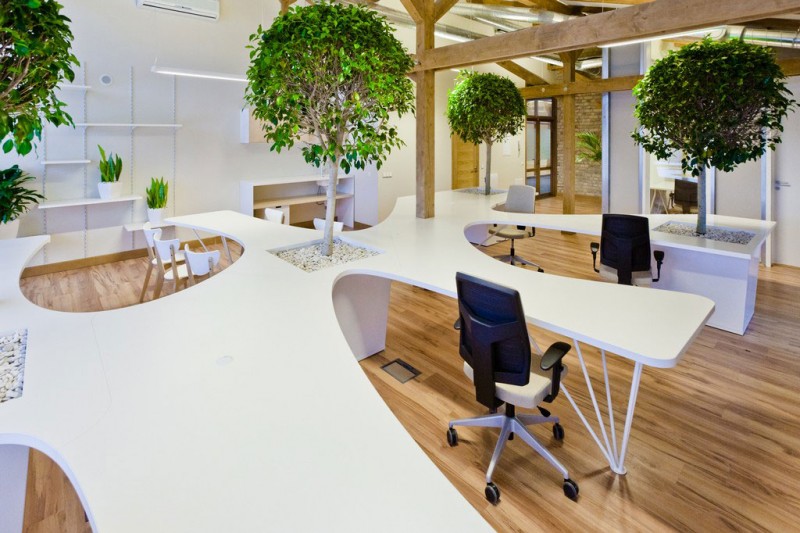 office-greenhouse-03-800x533