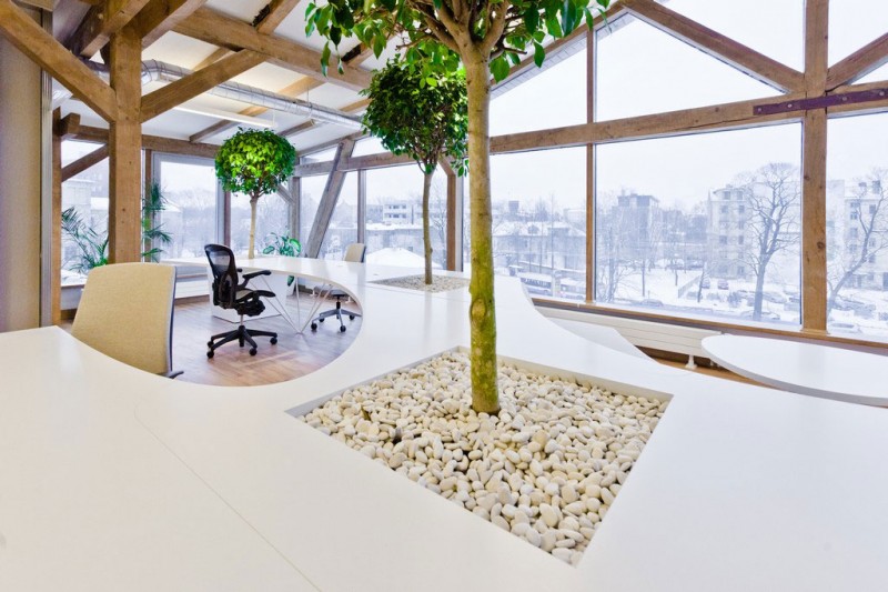 office-greenhouse-04-800x533