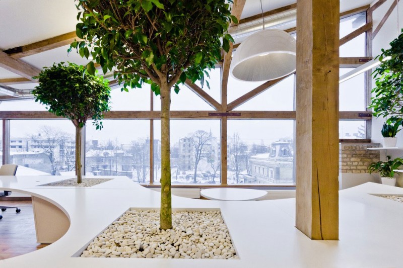 office-greenhouse-05-800x533