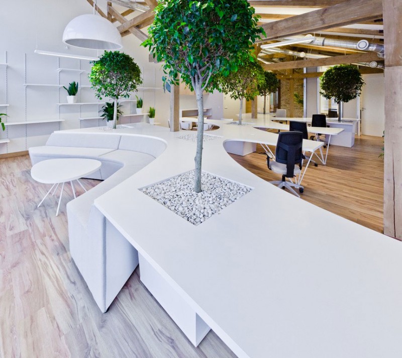 office-greenhouse-07-800x712