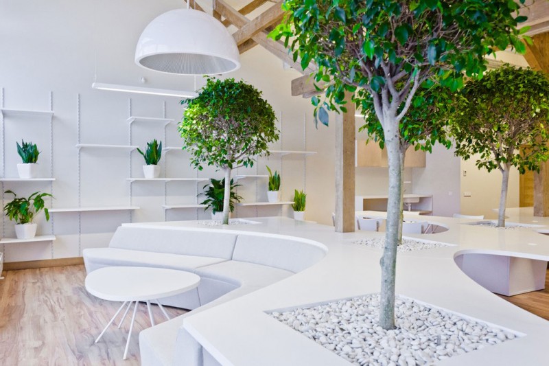 office-greenhouse-08-800x533