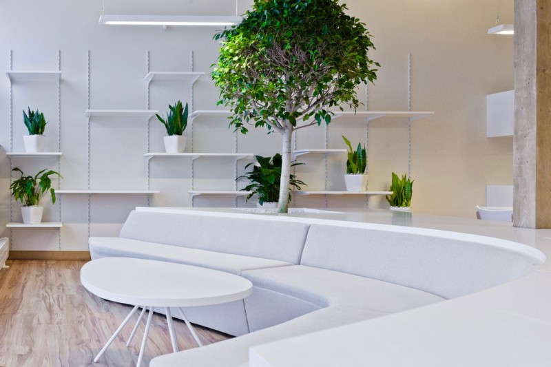 office-greenhouse-09-800x533