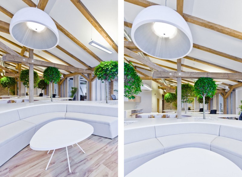 office-greenhouse-10-800x585