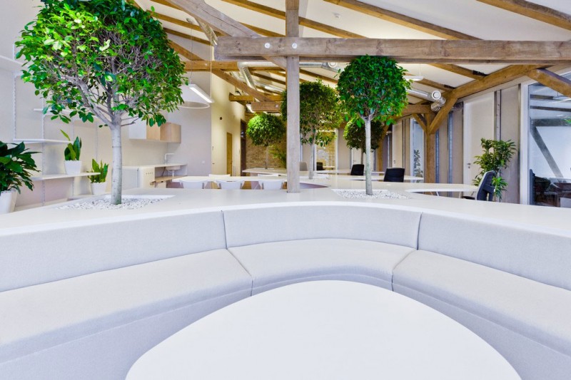 office-greenhouse-11-800x533
