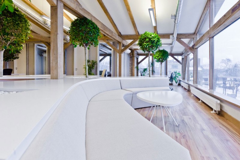 office-greenhouse-12-800x533