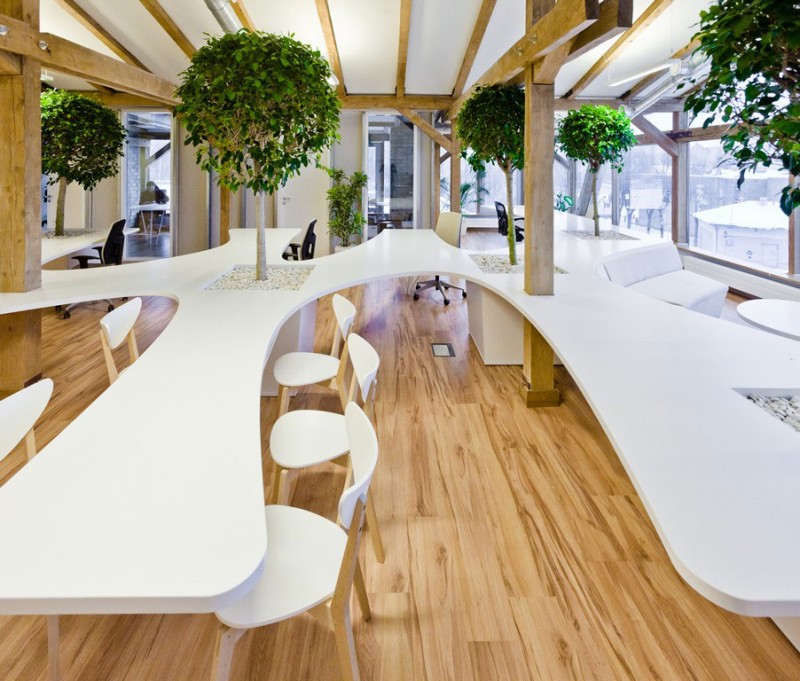 office-greenhouse-17-800x681