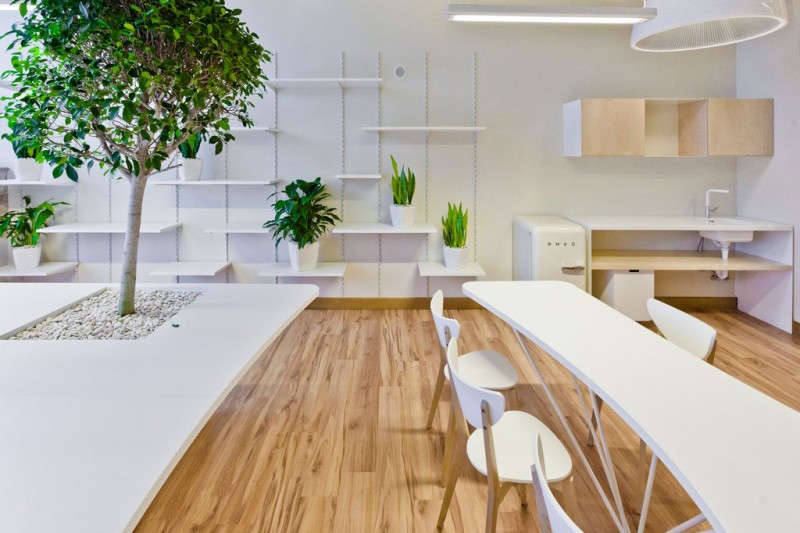office-greenhouse-19-800x533