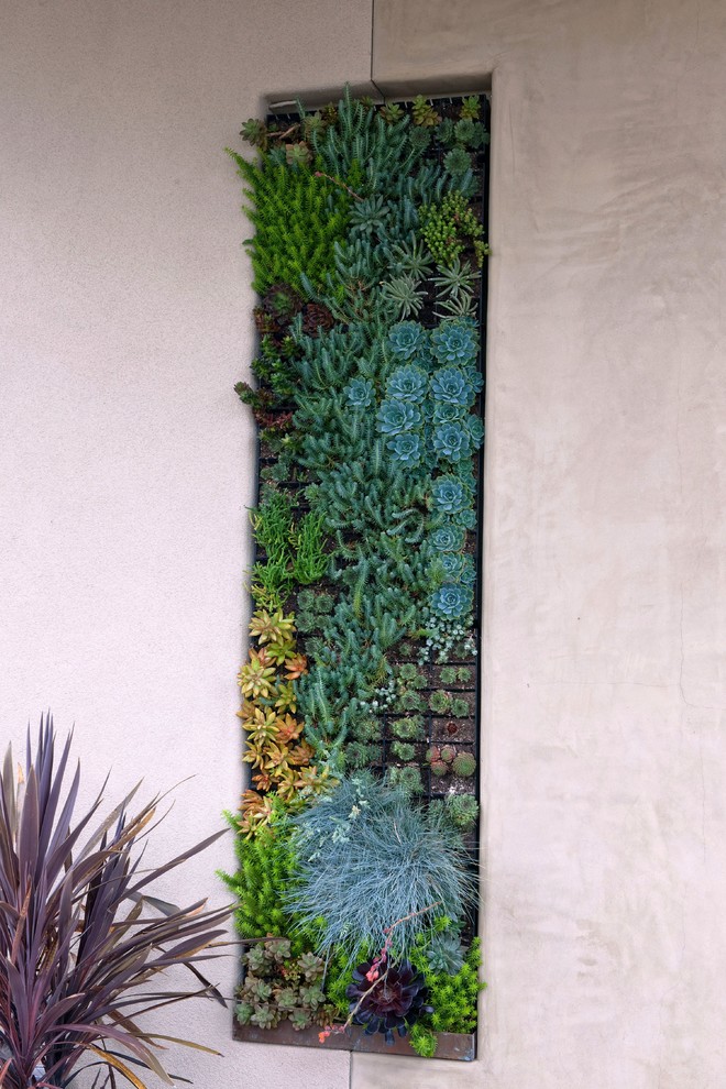 wall-garden