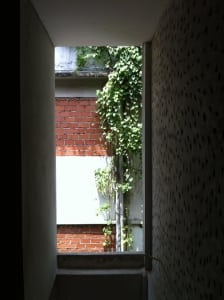 1386325376-3778331015-o