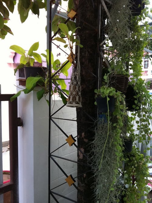 DIY14