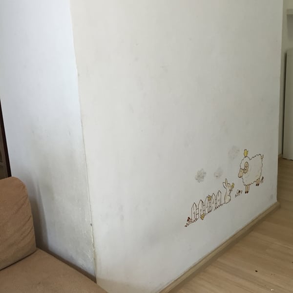 renovatecondo_2
