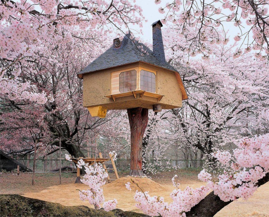 Tetsu-Tree-House-Japan