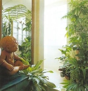scan00244a