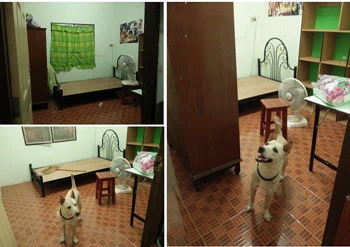 renovate ห้องนอนขนาดเล็ก006-min