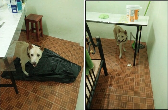 renovate ห้องนอนขนาดเล็ก012-min