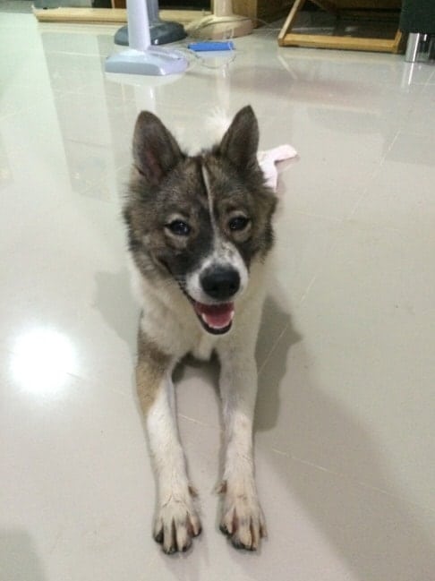 ไอเดียตกแต่งห้องนอน_002-min