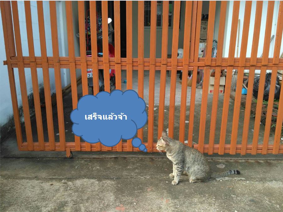 DIY ซ่อมรั้วไม้เก่าๆแบบง่ายๆ-10-min