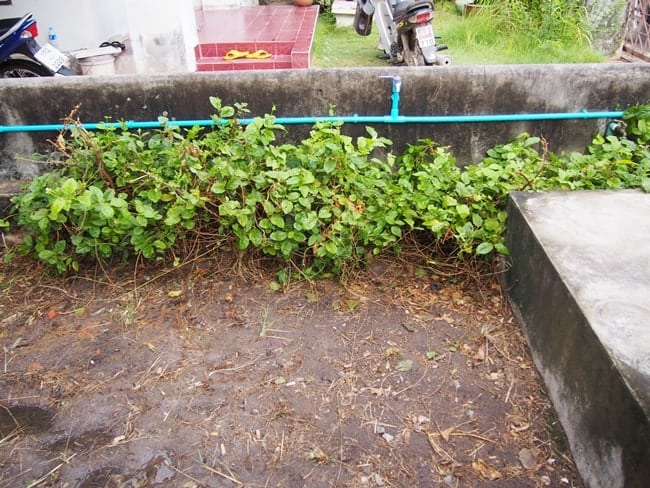 รีโนเวทบ้านชั้นเดียวหลังน้อย-021