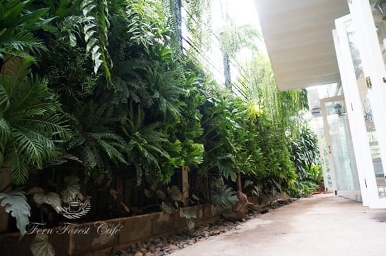 รีโนเวทบ้านไม้อายุ 40 กว่าปีให้เป็นร้านกาแฟ-56-min