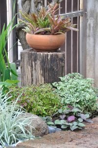 renovateสวน