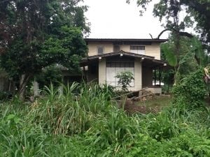 รีโนเวทบ้านสวนอายุ 60 ปี