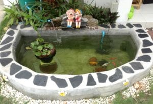 รีโนเวทมุมบ้านเล็กๆเป็นบ่อปลาคาร์ฟตัวน้อยๆ