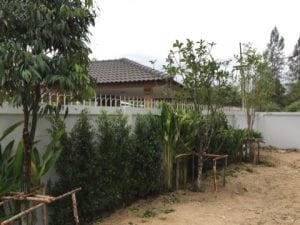 รีโนเวทสวนสวยด้วยตัวเอง