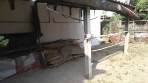 รีโนเวทหลังบ้านใหม่สไตล์ทรอปิคอล