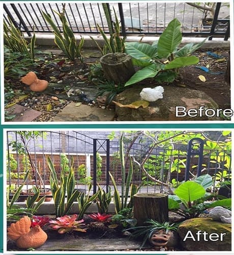 ร้อนนี้ต้องจัด!!จัดสวนให้สวยสดชื่นรับหน้าร้อน1-min