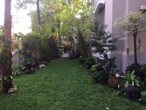 ร้อนนี้ต้องจัด!!จัดสวนให้สวยสดชื่นรับหน้าร้อน15-min