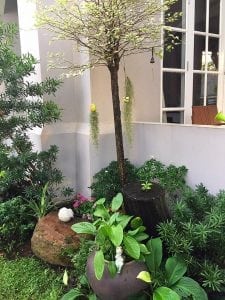 ร้อนนี้ต้องจัด!!จัดสวนให้สวยสดชื่นรับหน้าร้อน17-min