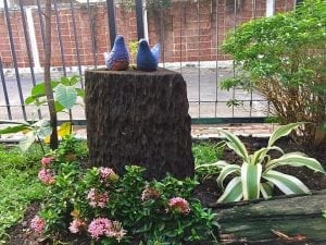 ร้อนนี้ต้องจัด!!จัดสวนให้สวยสดชื่นรับหน้าร้อน19-min
