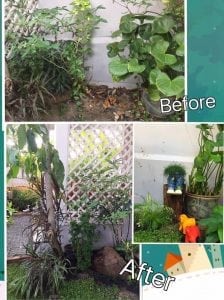 ร้อนนี้ต้องจัด!!จัดสวนให้สวยสดชื่นรับหน้าร้อน5-min