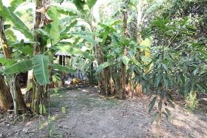 เปลี่ยนสวนหลังบ้านให้เป็นร้านกาแฟในฝัน15-min